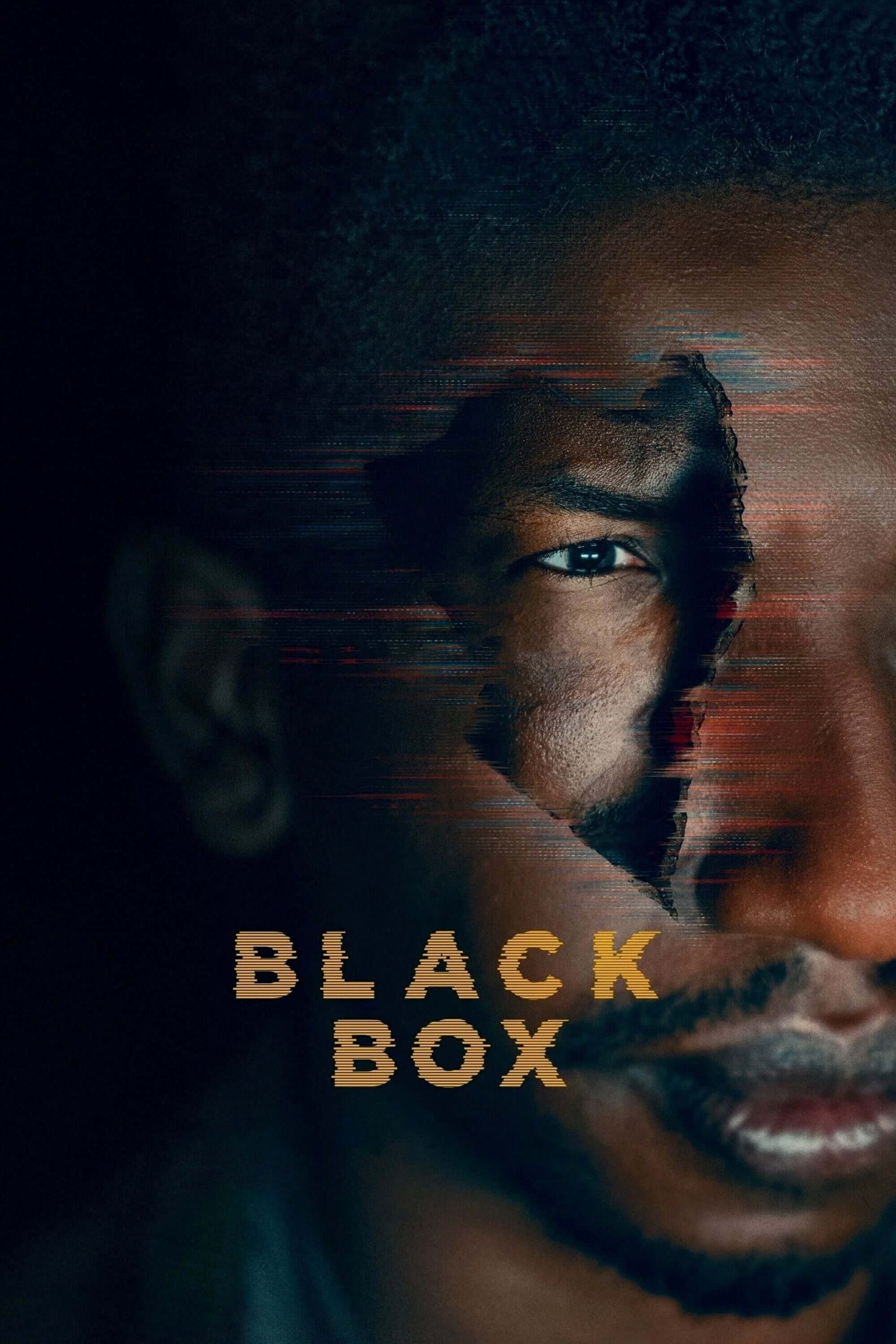 جعبه سیاه (Black Box)