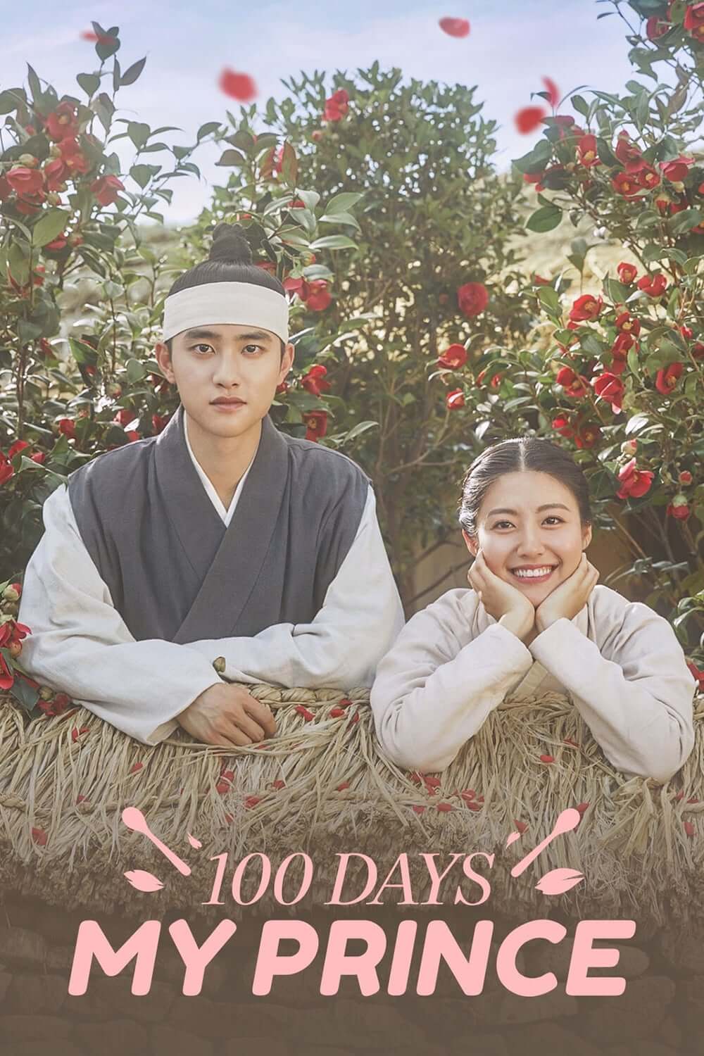 شاهزاده صد روزه من (100 Days My Prince)