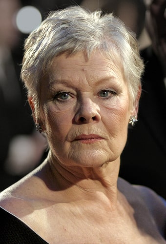 judi dench