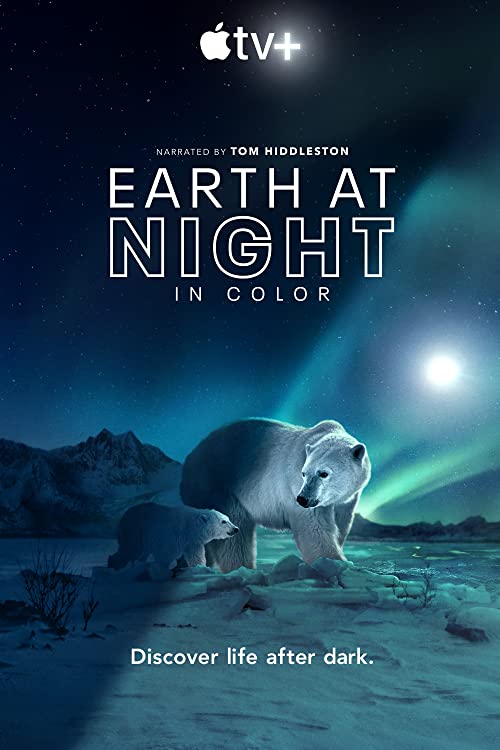 زمین در شب به صورت رنگی (Earth at Night in Color)