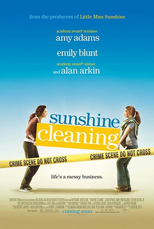 آفتاب تمیز کردن (Sunshine Cleaning)