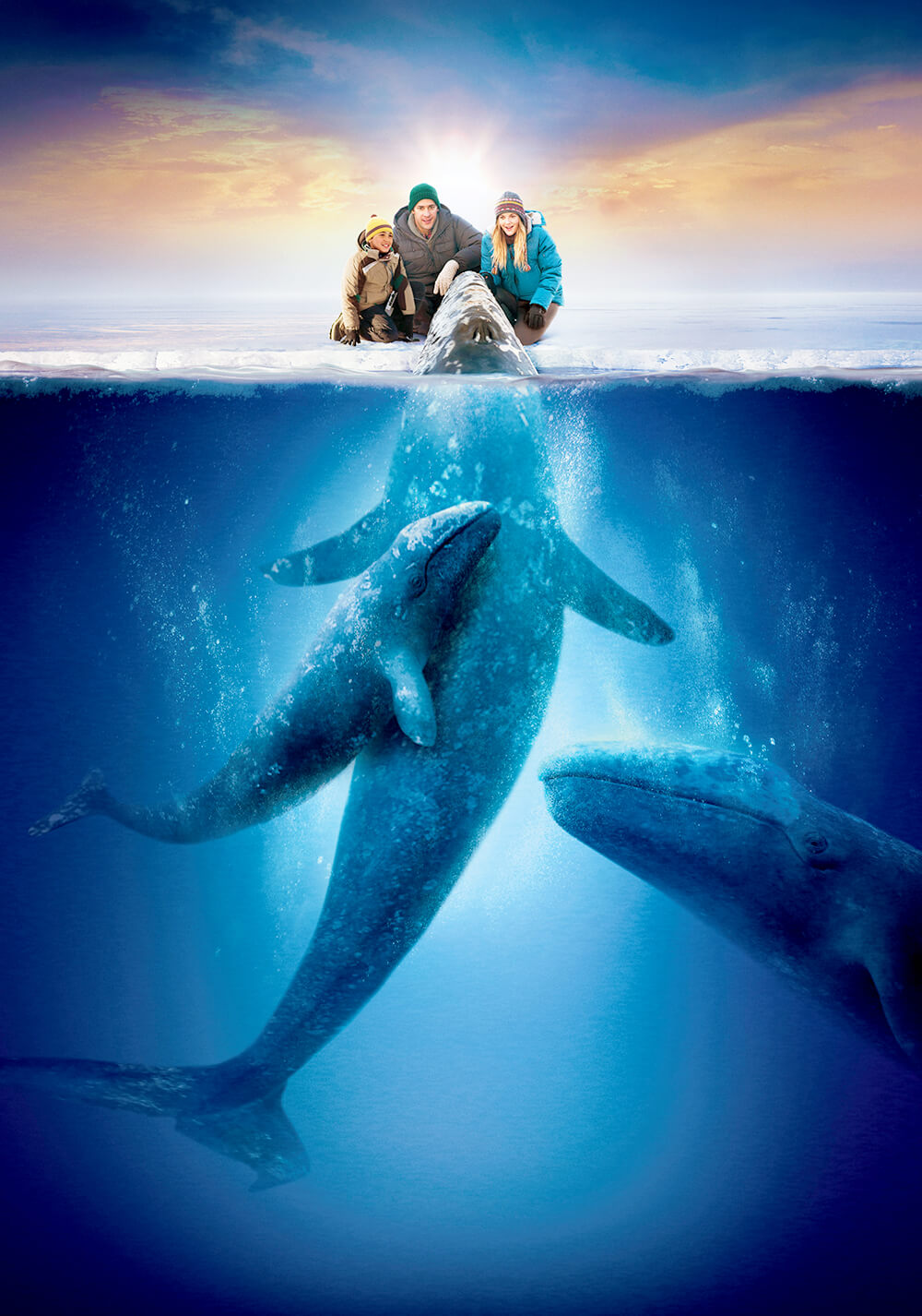 معجزه بزرگ (Big Miracle)