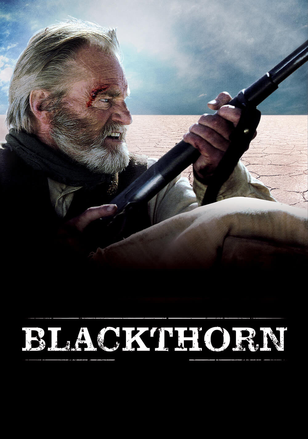 بلک‌تورن (Blackthorn)