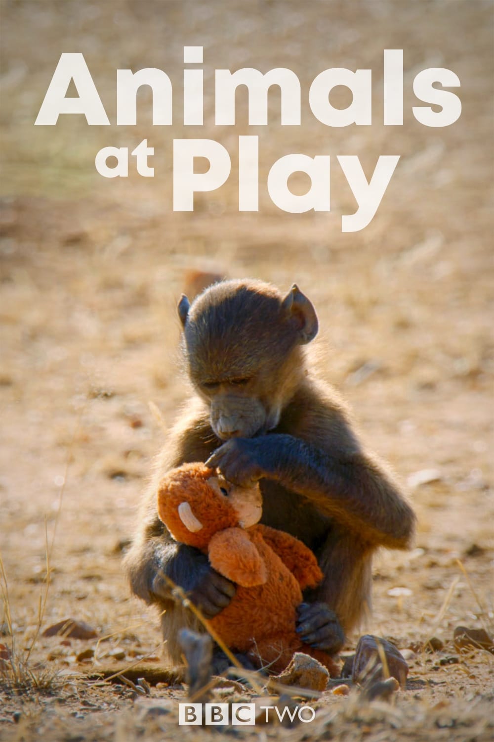 حیوانات بازیگوش (Animals at Play)