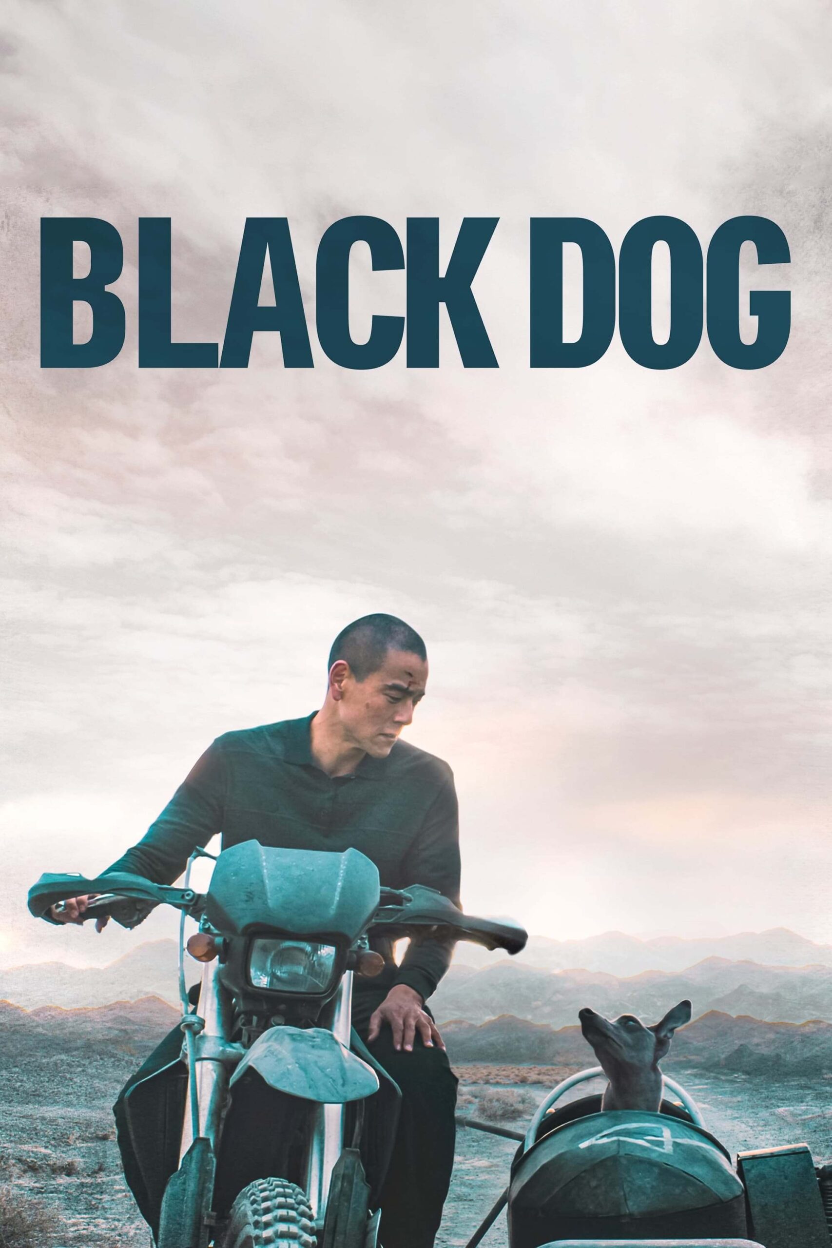 سگ سیاه (Black Dog)