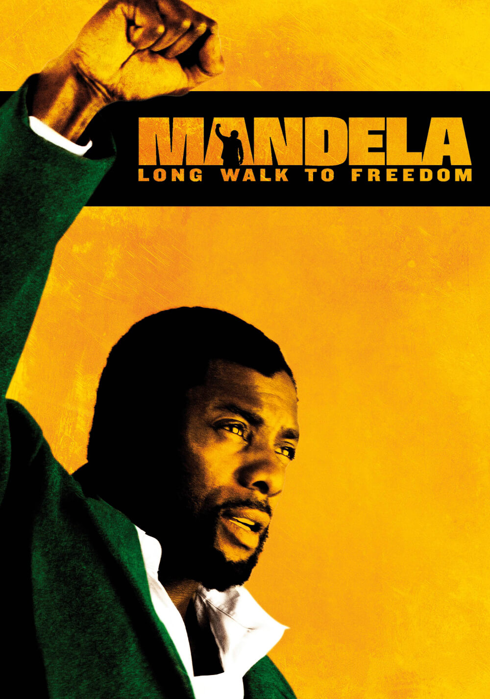 ماندلا: راه طولانی تا آزادی (Mandela: Long Walk to Freedom)