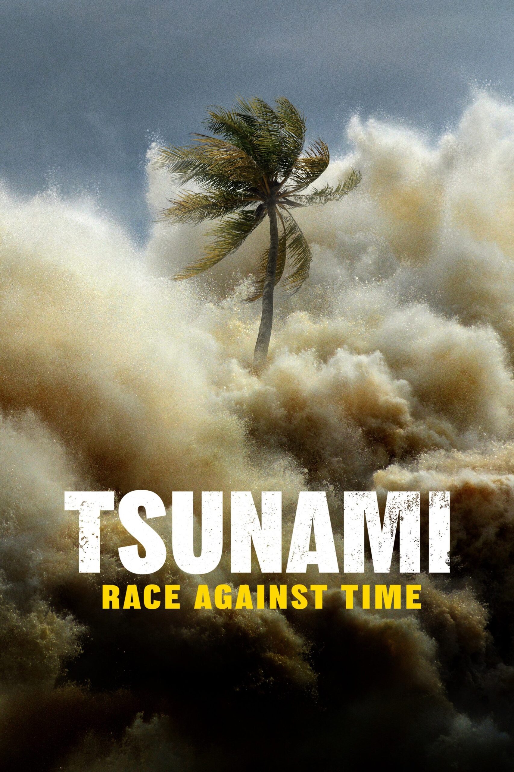 سونامی مبارزه با زمان (Tsunami Race Against Time)