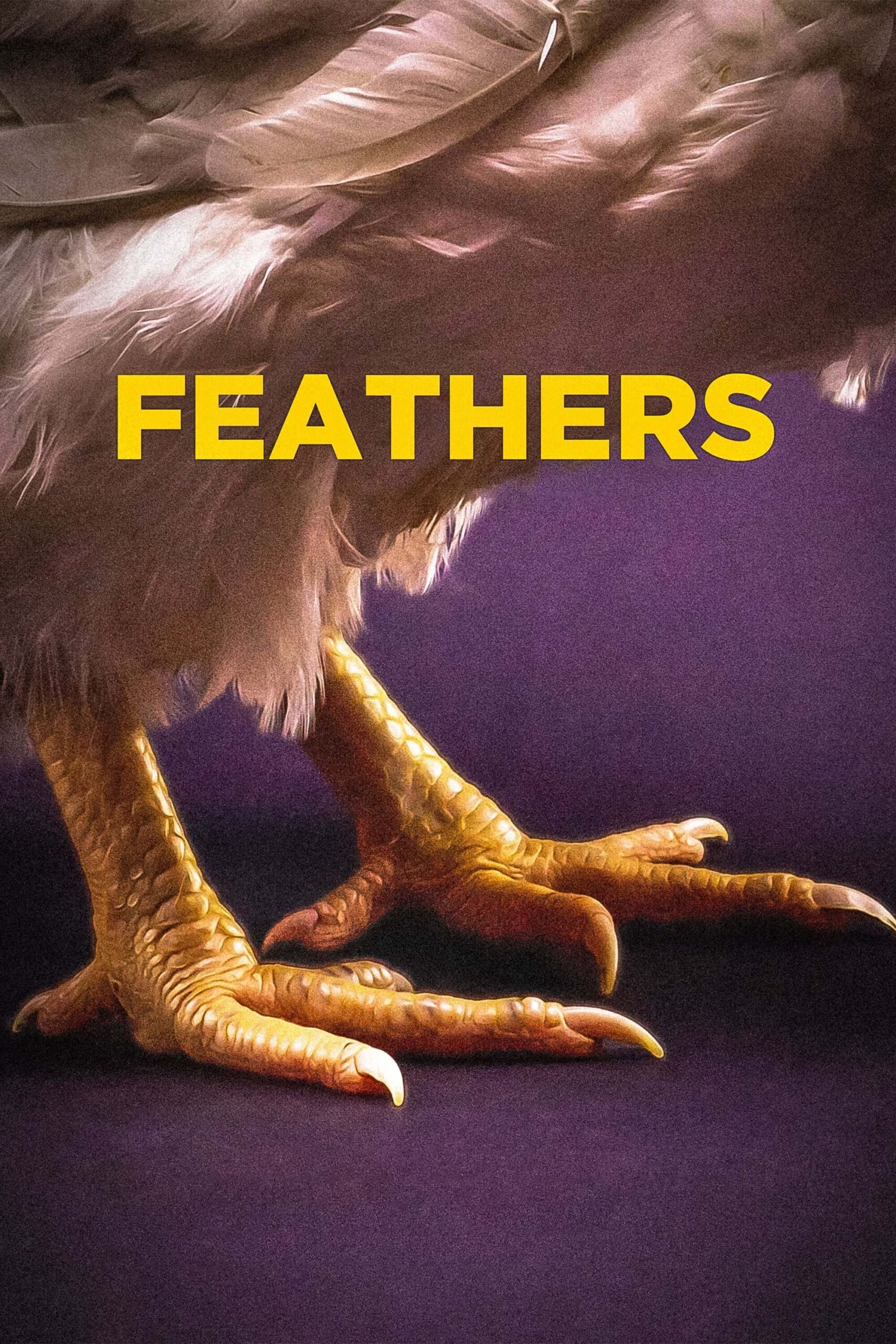 پرها (Feathers)