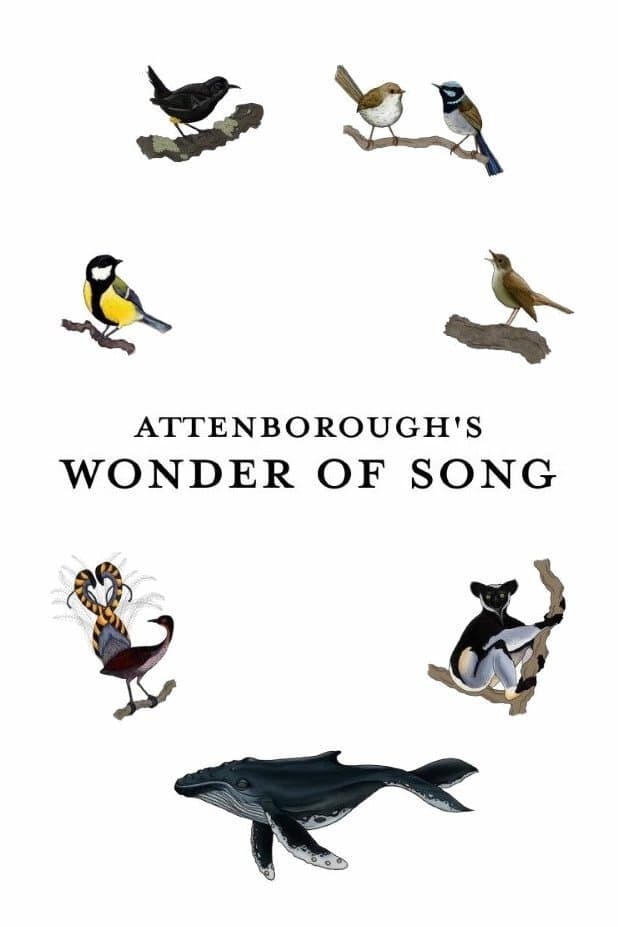 شگفتی آواز اتنبرو (Attenborough’s Wonder of Song)