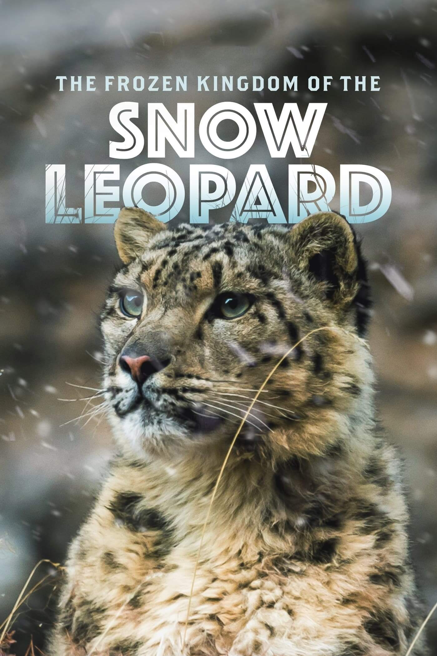 پادشاهی یخ زده پلنگ برفی (The Frozen Kingdom of the Snow Leopard)