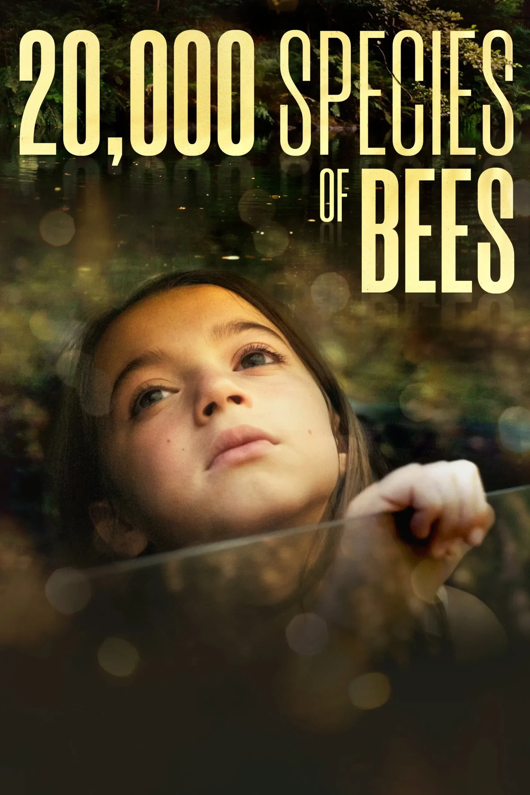 بیست هزار گونه زنبور (20000 Species of Bees)