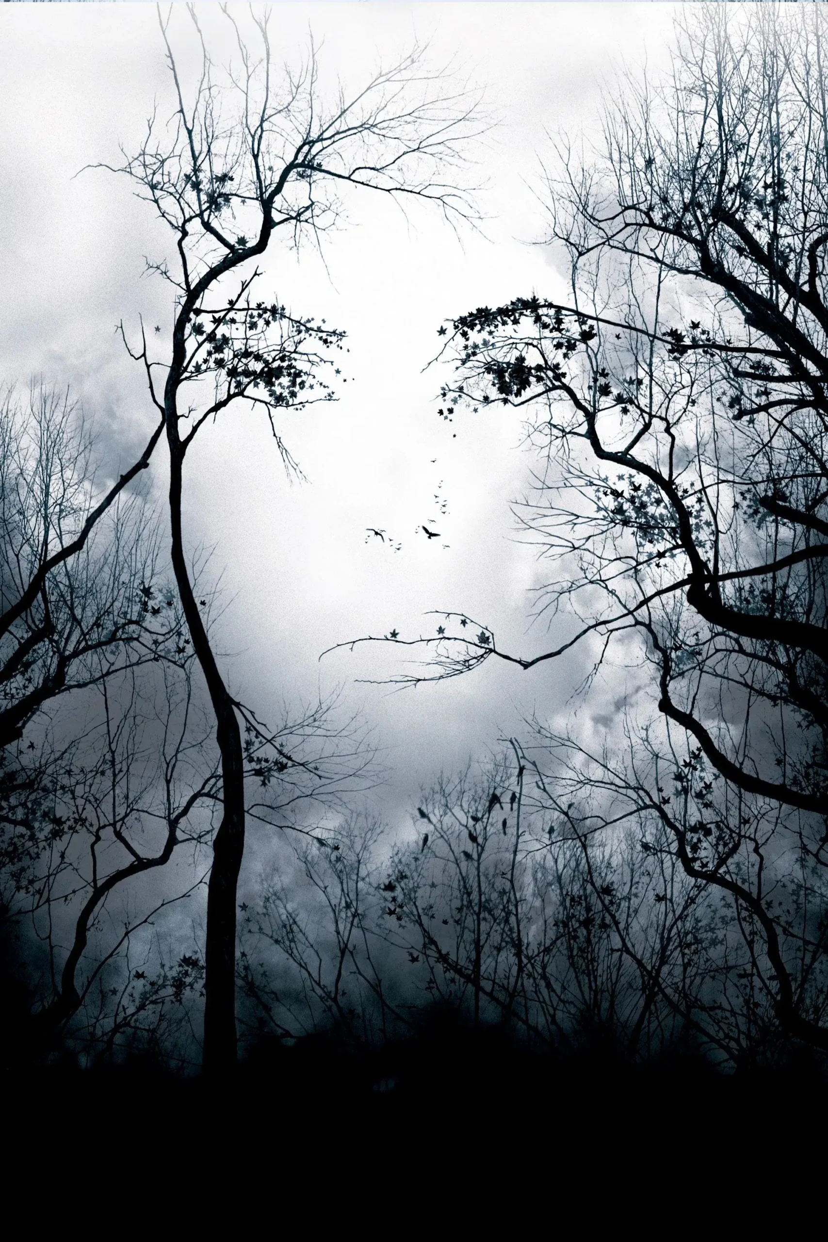 اخطار قبلی (Premonition)